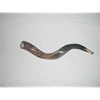 Los mejores  - 60-69cm (60-96 cm - 68-58 cm) Kudu Kosher ALL Pulido New Cuerno SHOFAR Yemenita